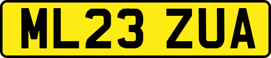 ML23ZUA