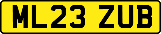 ML23ZUB