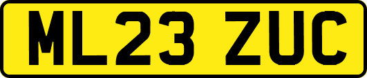 ML23ZUC