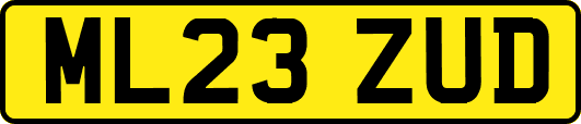 ML23ZUD