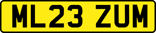 ML23ZUM