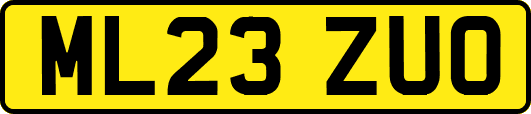 ML23ZUO