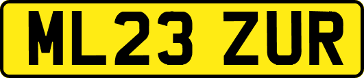 ML23ZUR