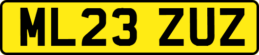 ML23ZUZ