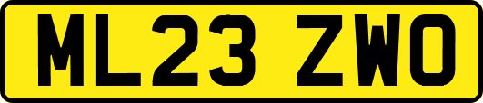 ML23ZWO