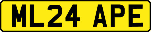 ML24APE