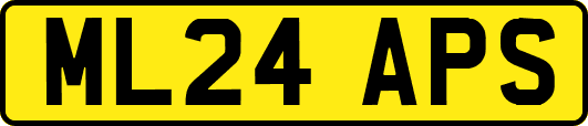 ML24APS