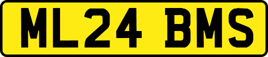 ML24BMS
