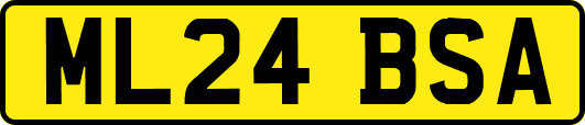 ML24BSA