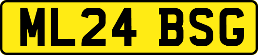 ML24BSG