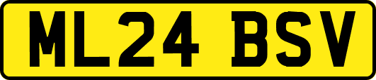 ML24BSV