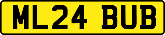 ML24BUB