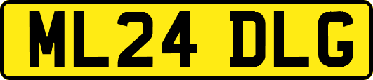 ML24DLG