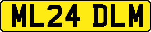 ML24DLM
