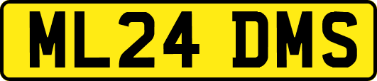 ML24DMS