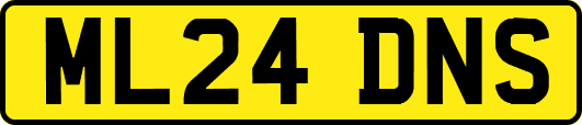 ML24DNS