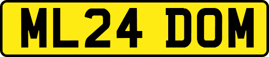 ML24DOM