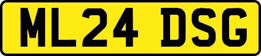 ML24DSG