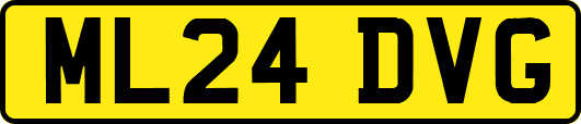 ML24DVG