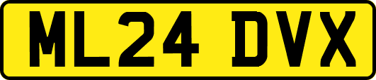 ML24DVX