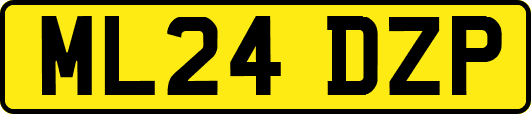 ML24DZP