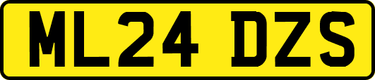 ML24DZS