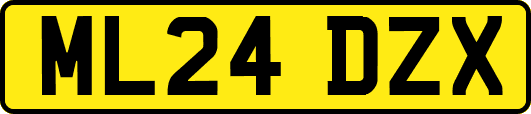 ML24DZX