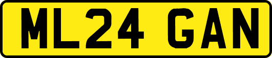 ML24GAN