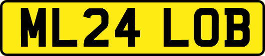 ML24LOB