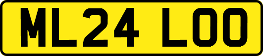 ML24LOO