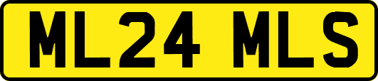 ML24MLS
