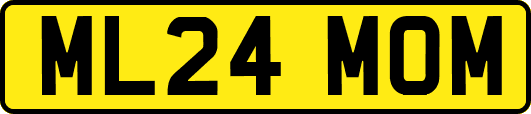 ML24MOM