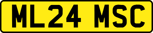 ML24MSC