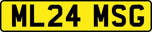 ML24MSG