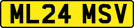 ML24MSV
