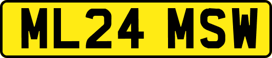 ML24MSW