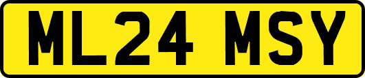 ML24MSY