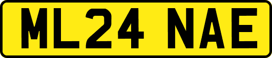 ML24NAE