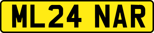 ML24NAR