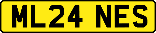 ML24NES