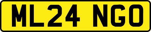 ML24NGO
