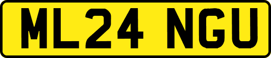ML24NGU