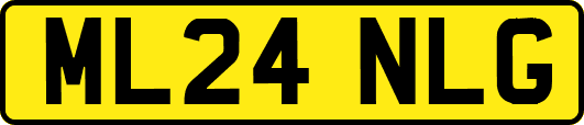 ML24NLG
