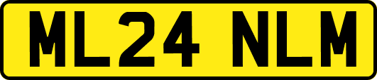 ML24NLM