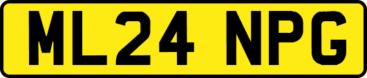 ML24NPG