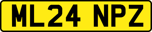 ML24NPZ
