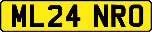 ML24NRO