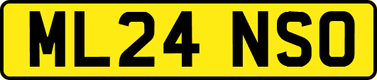ML24NSO