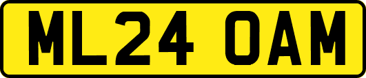 ML24OAM