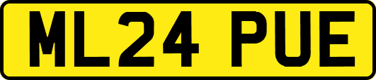 ML24PUE